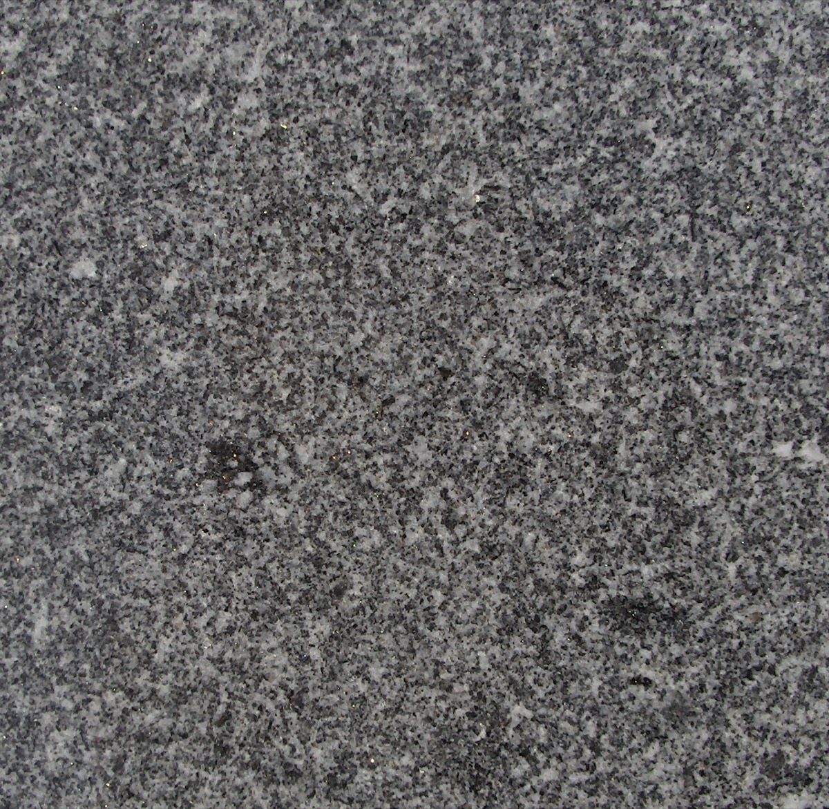 granit noir roriz poli